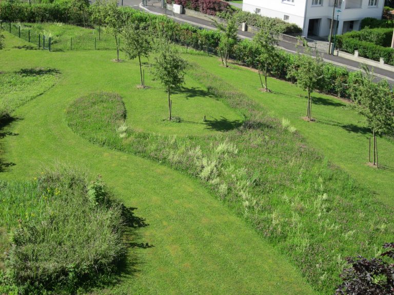 Espace avec tonte diversifiée