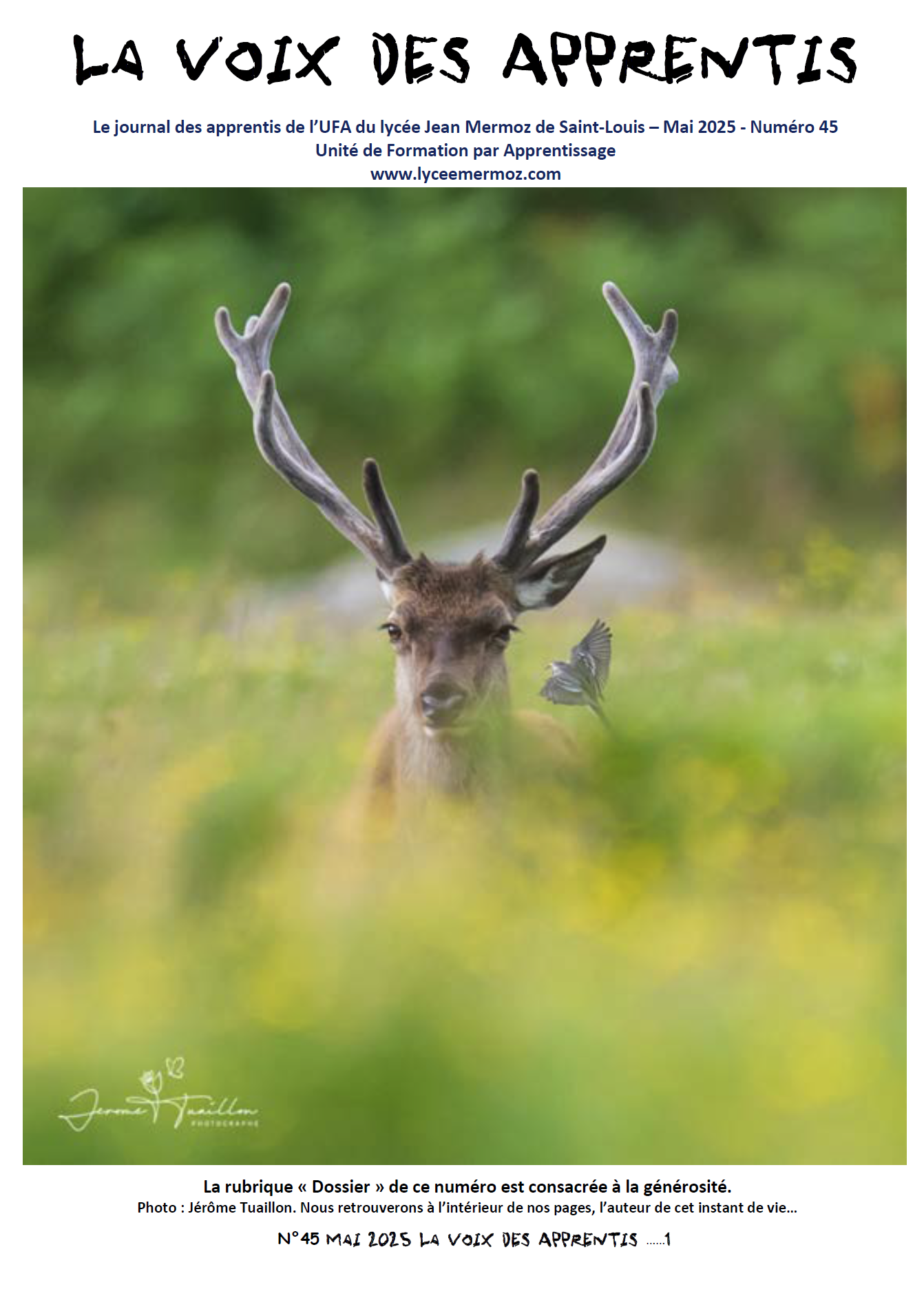 Journal numéro 45